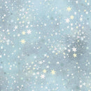 RK Festive Delight - AVMD-23870-277 Winter - Cotton Fabric