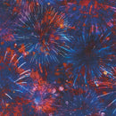 RK Land of the Free - SRKD-22763-202 Americana - Cotton Fabric