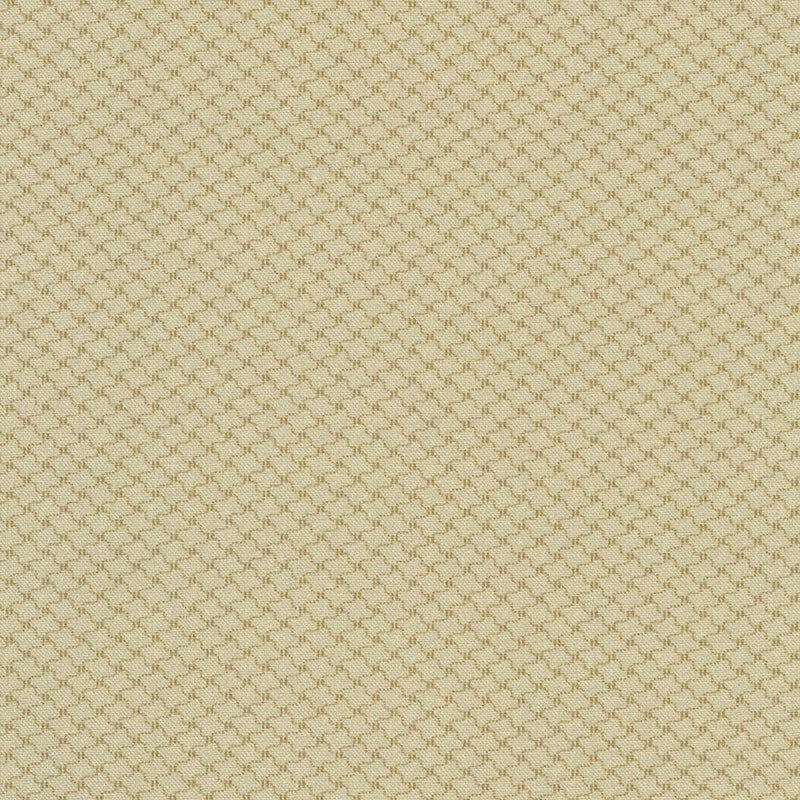 RK Life on the Ridge - AUJD-23059-13 Tan - Cotton Fabric