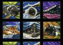 STUDIO E Catnap Panel - 54001-BLACK - Cotton Fabric