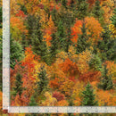 TT Autumn Mist Forest - CD4207-FALL - Cotton Fabric
