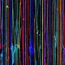 TT Jazz Fusion - CD1718-BLACK - Cotton Fabric