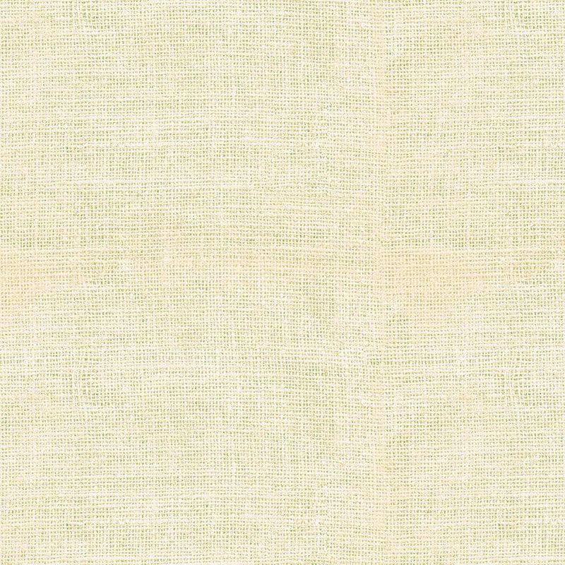 TT Burlap Texture - CD3149-ECRU - Cotton Fabric