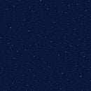 TT Chicken Scratch: Sunnyside - CD3200-NAVY - Cotton Fabric