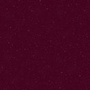 TT Chicken Scratch: Sunnyside - CD3200-WINE - Cotton Fabric