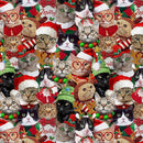 TT Christmas Cheer Packed Holiday Cats - CD3498 Holiday - Cotton Fabric