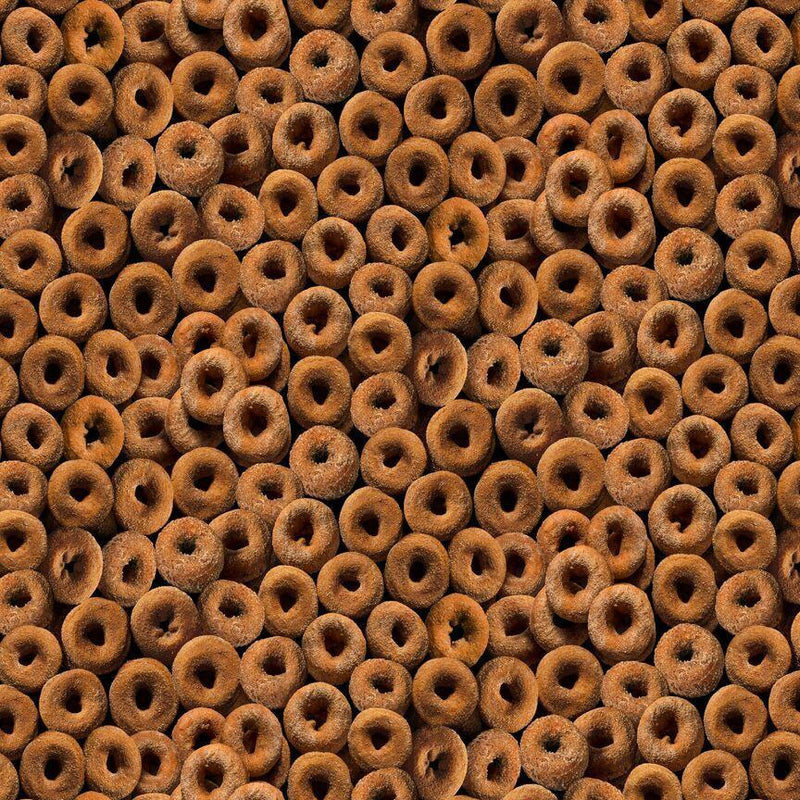 TT Cider Season Packed Gingerbread Donuts - CD2941-DONUT - Cotton Fabric