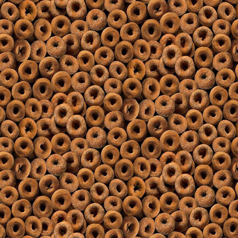 TT Cider Season Packed Gingerbread Donuts - CD2941-DONUT - Cotton Fabric