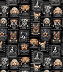 TT Dogs Rule Dog Mugshots - CD3888-BLACK - Cotton Fabric