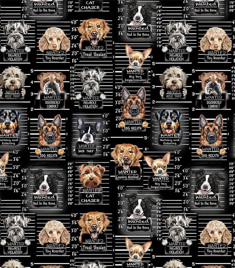 TT Dogs Rule Dog Mugshots - CD3888-BLACK - Cotton Fabric