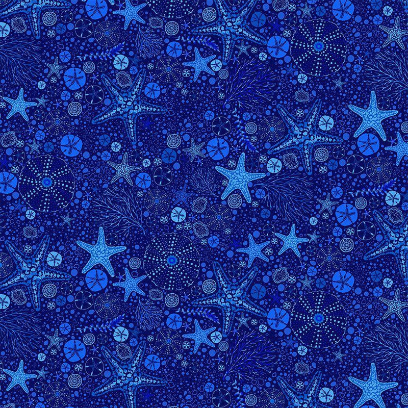 TT Electric Ocean Starfish & Sand Dollars - CD2856-NAVY - Cotton Fabric