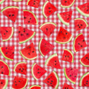 TT Fresh Fruit Watermelon Slices On Plaid - CD3909-RED - Cotton Fabric