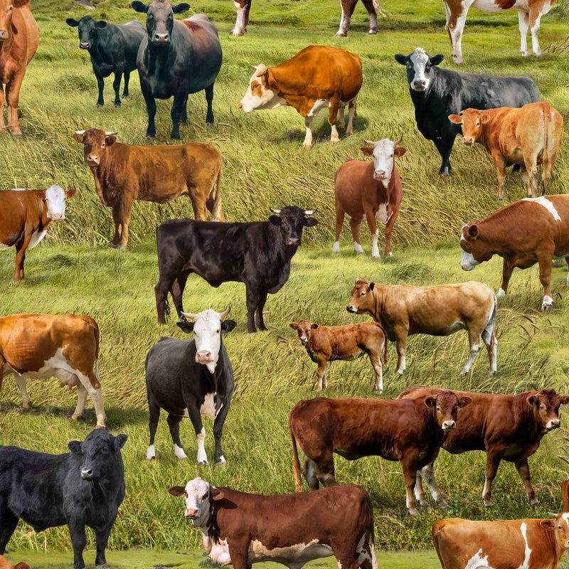 TT Home On The Range Cattle Farm - CD3866-GREEN - Cotton Fabric