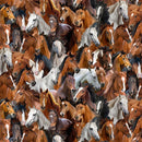 TT Home On The Range Packed Horses - CD3861-BROWN - Cotton Fabric
