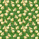 TT Just Hatched Chicks on Grass - CD3252-GREEN - Cotton Fabric