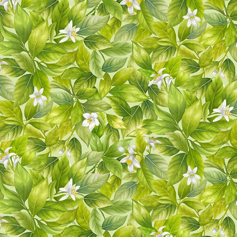 TT Lemon Bouquet Packed Lemon Leaves - CD2454-GREEN - Cotton Fabric