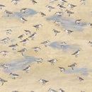 TT Let Your Light Shine Sandpipers - CD3972-SAND - Cotton Fabric