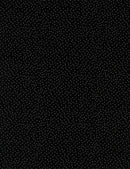 TT Metallic Pin Dots - CM9528-BLACK - Cotton Fabric