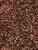 TT Packed Coffee Beans - CD8958-BROWN - Cotton Fabric