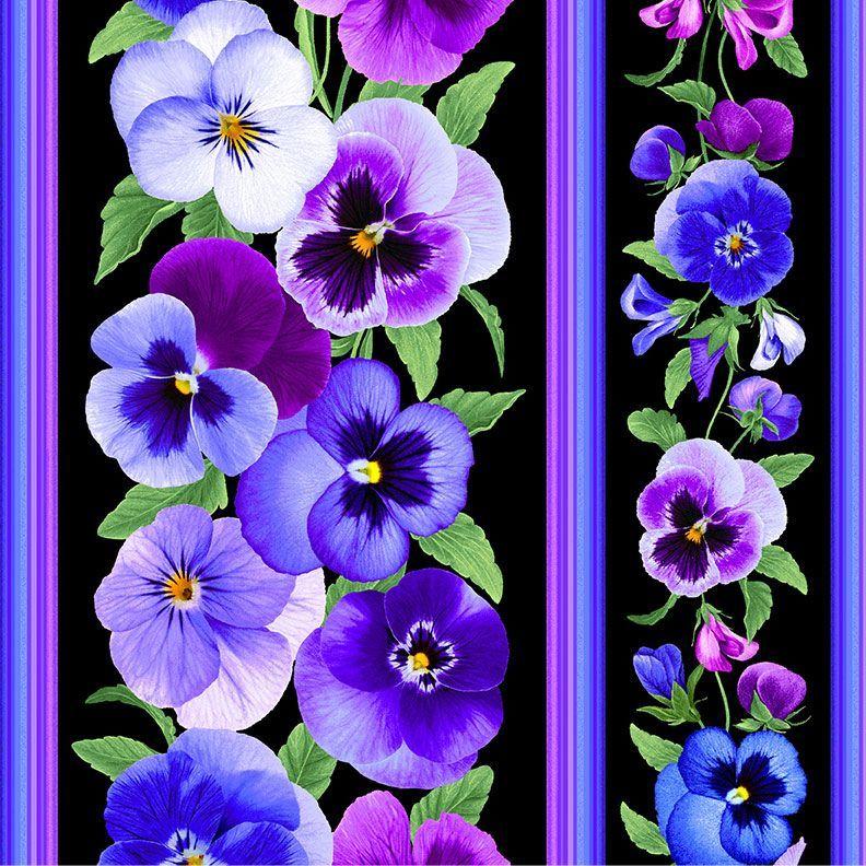 TT Pansy Perfection 11" Stripe - CD3751-BLACK - Cotton Fabric