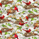 TT Secret Hollow Cardinals & Bird Nests -  CD4269-BIRCH - Cotton Fabric