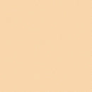 TT Spin Basic - CD5300-APRICOT - Cotton Fabric