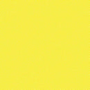 TT Spin Basic - CD5300-BUTTER - Cotton Fabric