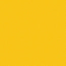 TT Spin Basic - CD5300-GOLD - Cotton Fabric