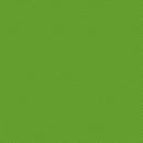 TT Spin Basic - CD5300-PARAKEET - Cotton Fabric