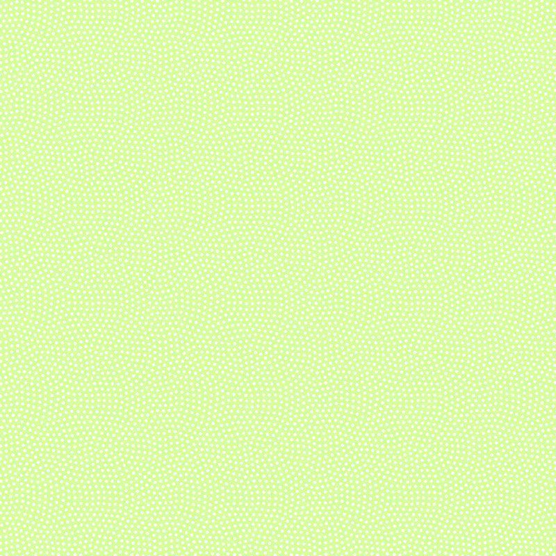 TT Spin Basic - CD5300-PISTACHIO - Cotton Fabric