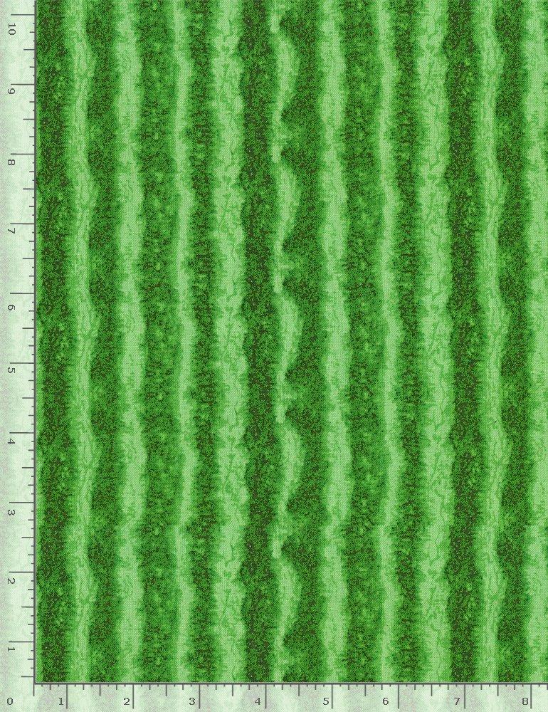 TT Summer Picnic Watermelon Skin - CD1138-GREEN - Cotton Fabric