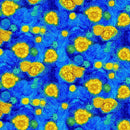 TT Sunflower Symphony Sunny Sky Swirl - CD3534-BLUE - Cotton Fabric