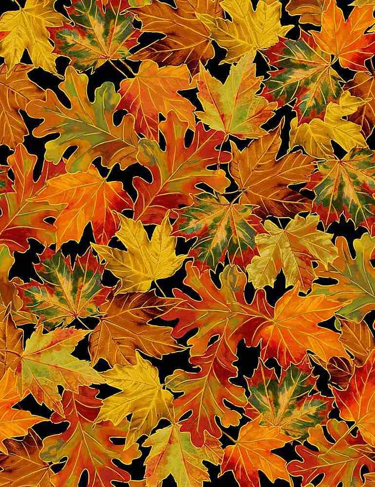 TT Thankful Autumn Leaves - CM1289-BLACK - Cotton Fabric