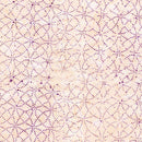 TT Tonga Chateau Batiks - B3936-SPICE - Cotton Batik Fabric