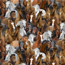 TT Wild Horses - CD3484-MULTI - Cotton Fabric