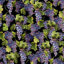 TT Wine Country Grapes Vines - CD3013-BLACK - Cotton Fabric