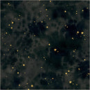 WHM Flora & Form Texture - 54784DM-3 Onyx - Cotton Fabric