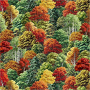 WHM Landscapes Changing Foliage - 55472D-1 - Cotton Fabric
