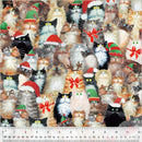 WHM Meowy Christmas Cats In Hats - 54484-3 Multi - Cotton Fabric