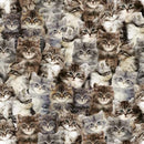 WHM One of a Kind Kittens - 50060D-X Multi - Cotton Fabric