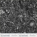 WHM Pen & Petal Daydream - 54964-2 Black - Cotton Fabric