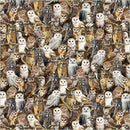 WHM Wild Kingdom Observant Owls - 55032D-1 Multi - Cotton Fabric