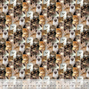 WHM WinterFleece Kittens - 31772-X Multi - Fleece