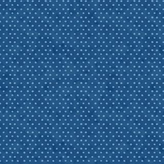 WP Blue Harmony - 1665-33904-444 - Cotton Fabric