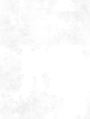 WP Dry Brush - 89205-100 White on White - Cotton Fabric