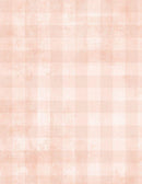 WP Dry Brush Checks - 89289-800 - Cotton Fabric