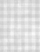 WP Dry Brush Checks - 89289-901 - Cotton Fabric