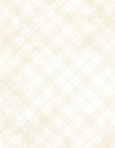 WP Dry Brush Plaid - 89291-102 - Cotton Fabric