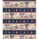WP Stars Of Valor - 3028-30082-243 - Cotton Fabric