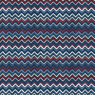WP Stars Of Valor - 3028-30087-431 - Cotton Fabric